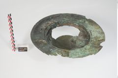 Foto von Bronzebreitrandfußschale (NHMW-PRAE-024138)
